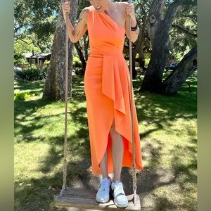 Rex One-Shoulder Gown Size 2